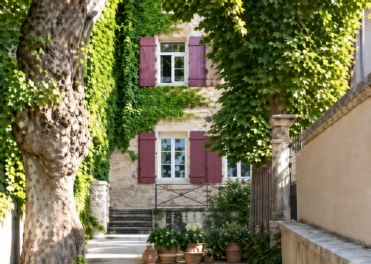 Façade ancienne aux volets bordeaux couverte de lierre.
