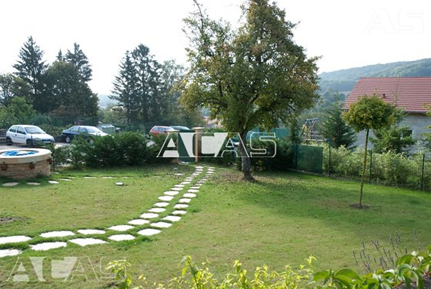 Un jardin avec une pelouse verte traversée par un chemin de dalles blanches, un grand arbre et des voitures garées au fond.