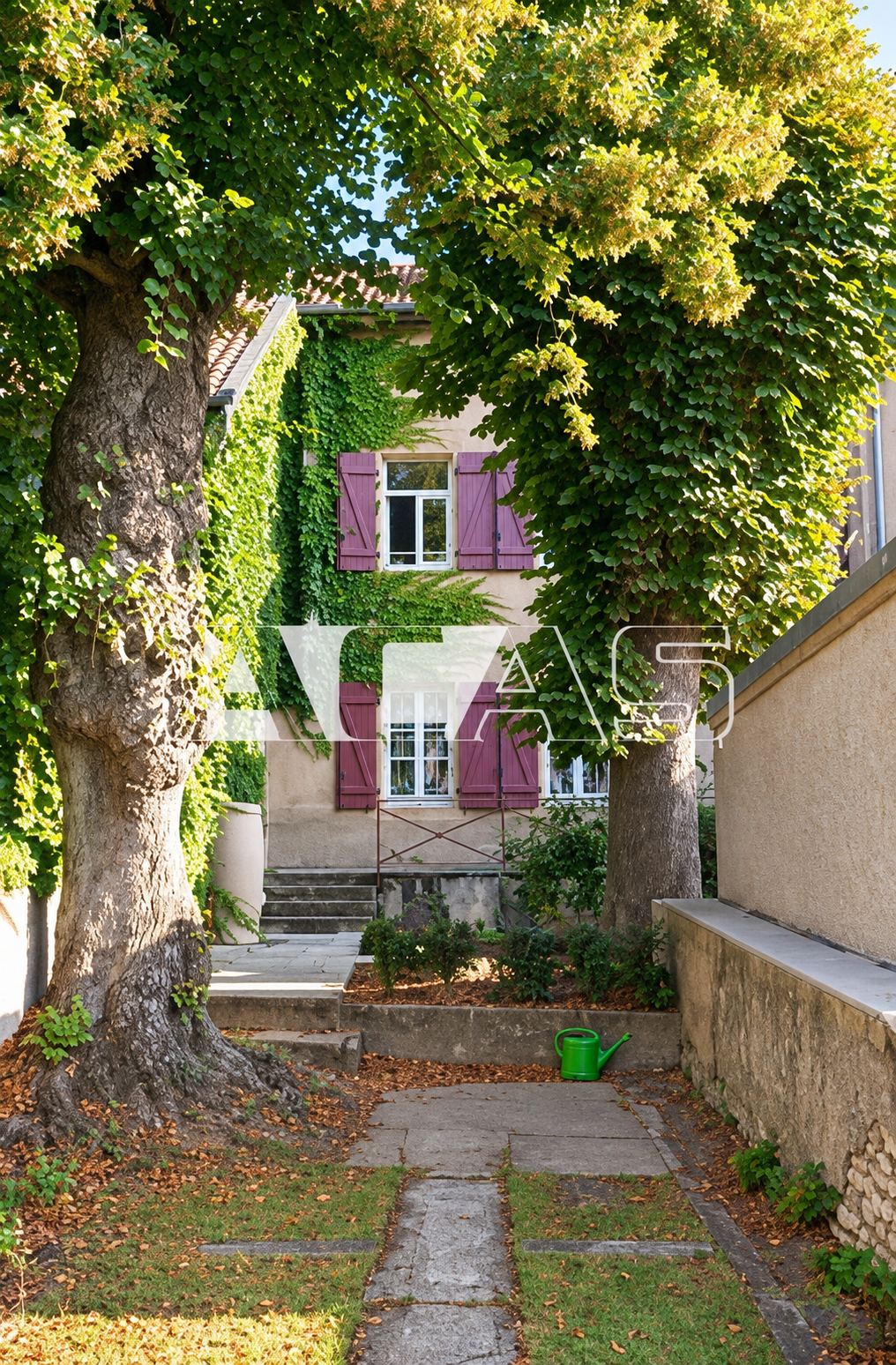 Une maison de pierre aux volets violets, couverte de vigne vierge, se dresse au bout d'un chemin dallé bordé de grands arbres.
